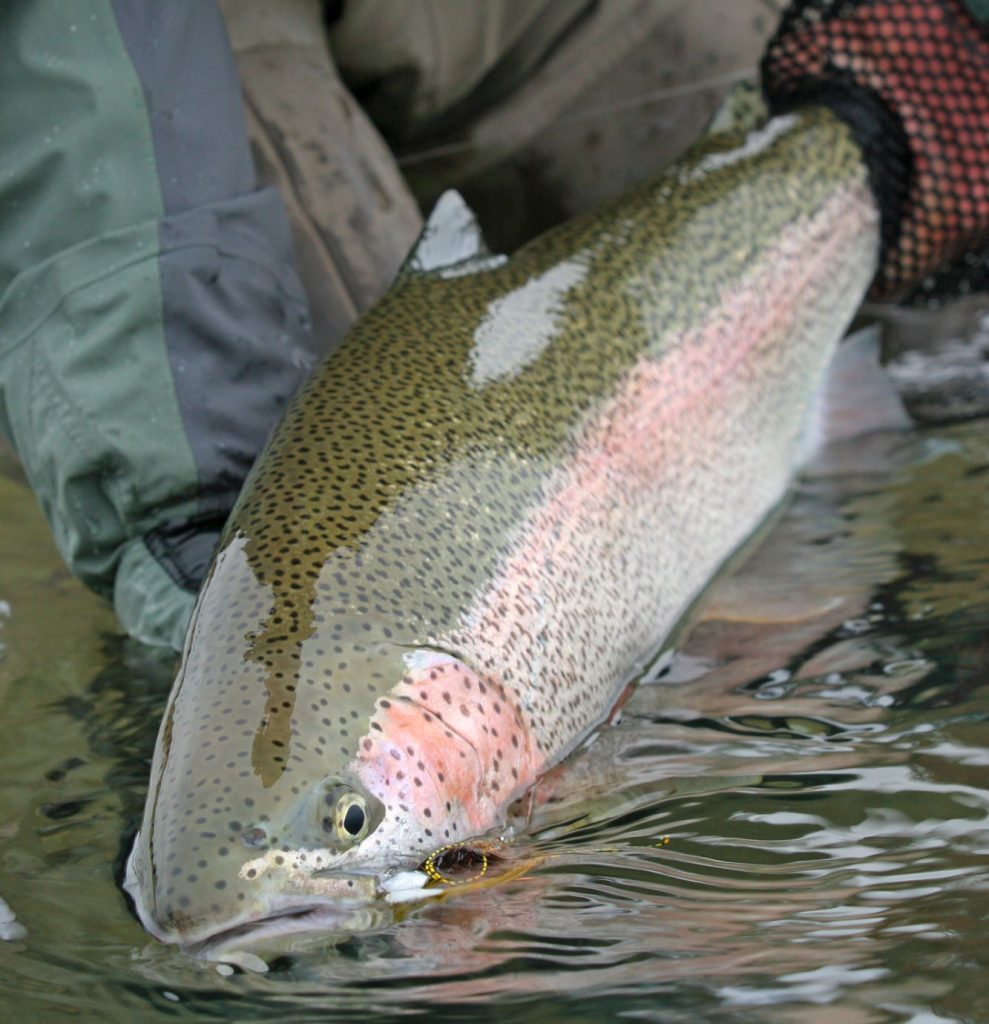 What We Supply For Your Alaska Float Trip Alaska Fly Fishing Float